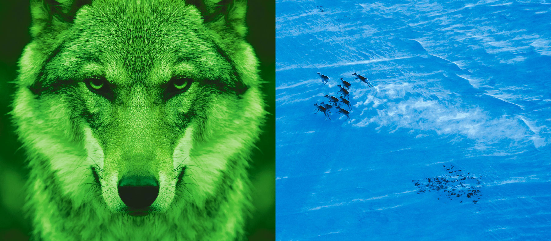 Wirtschaftskanzlei Nürnberg Header Wolf Herde