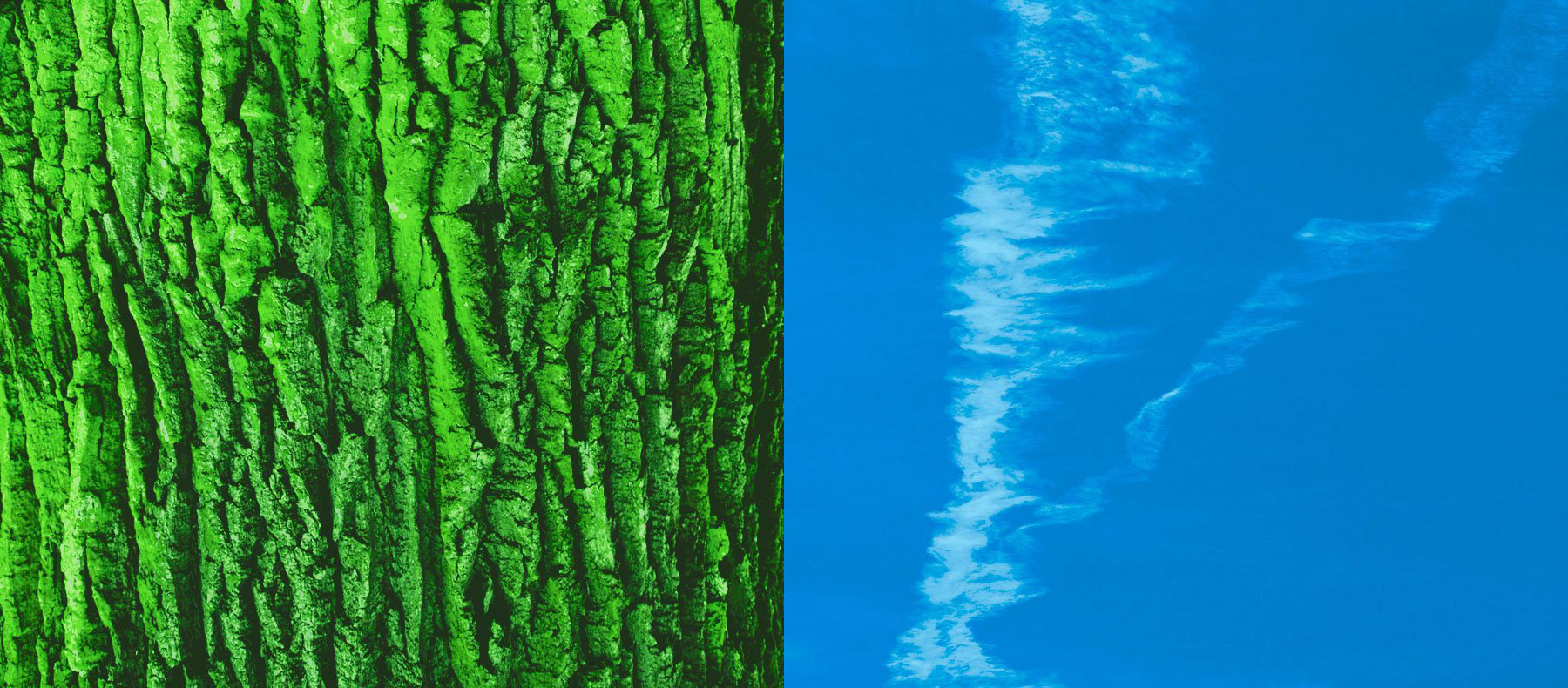 Wirtschaftskanzlei Nürnberg Header Baum Wolke