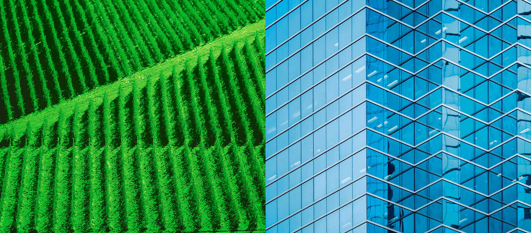 Wirtschaftskanzlei Nürnberg Header Feld Fassade