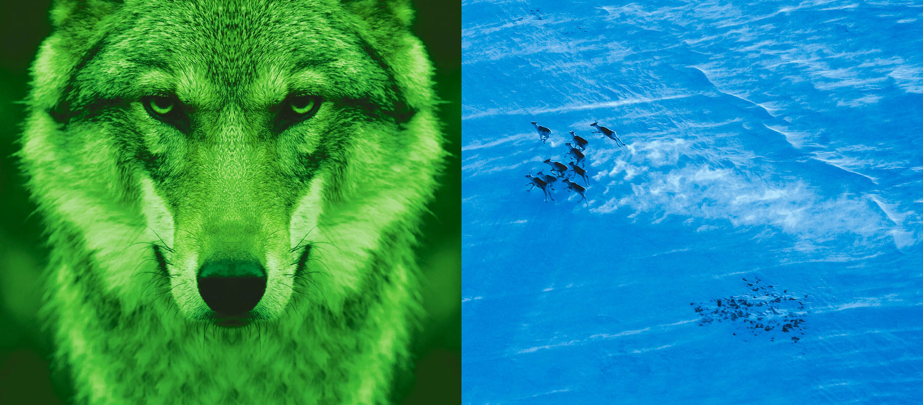 Kanzlei für Wirtschaftsrecht in Nürnberg