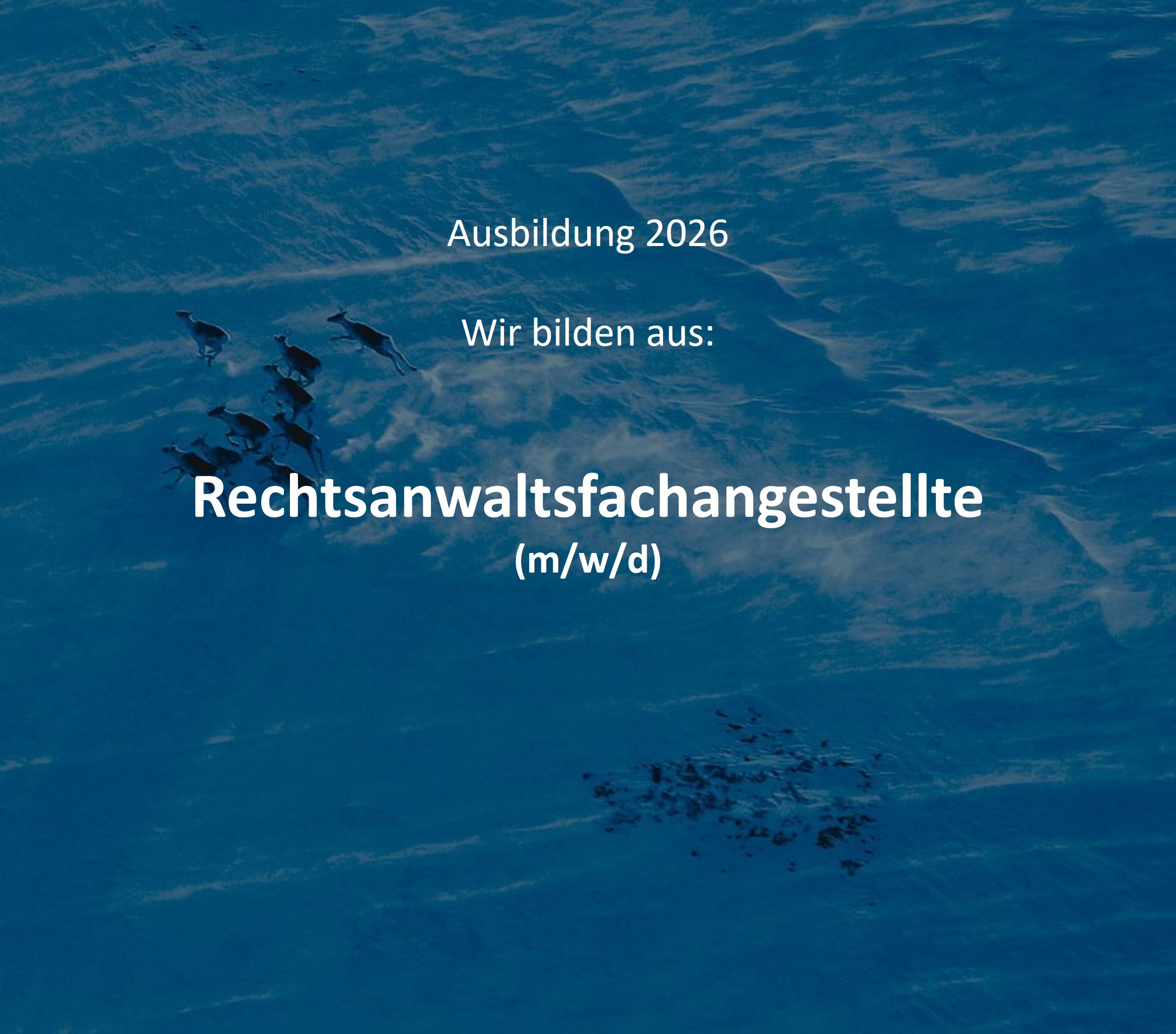 Ausbildung 2026