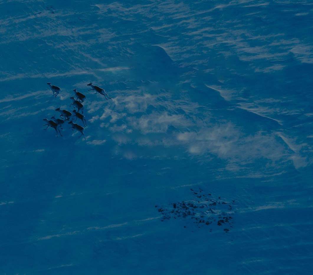 karriere-kachel-dunkelgruen-leer